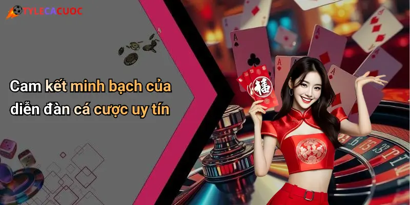 Cam kết minh bạch của diễn đàn cá cược uy tín