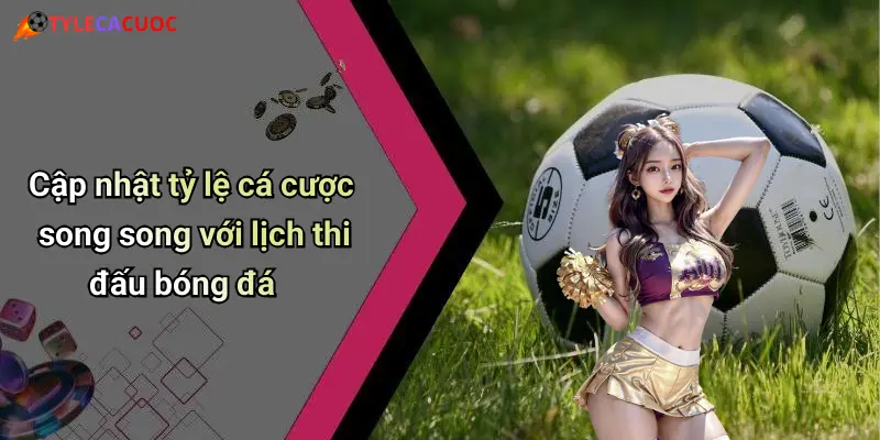 Cập nhật tỷ lệ cá cược song song với lịch thi đấu bóng đá