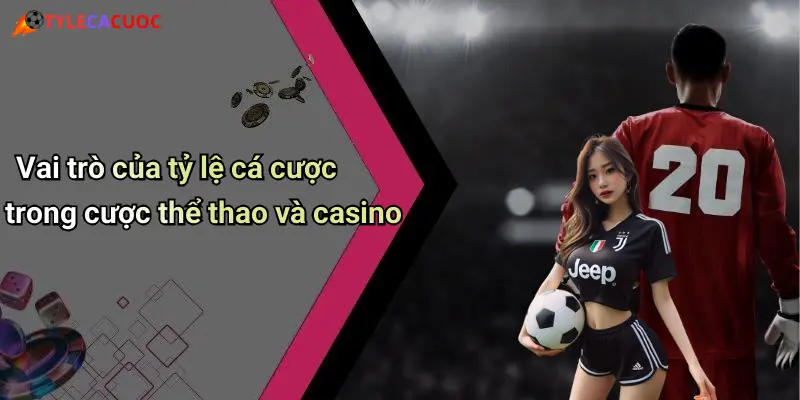 Vai trò của tỷ lệ cá cược trong cược thể thao và casino