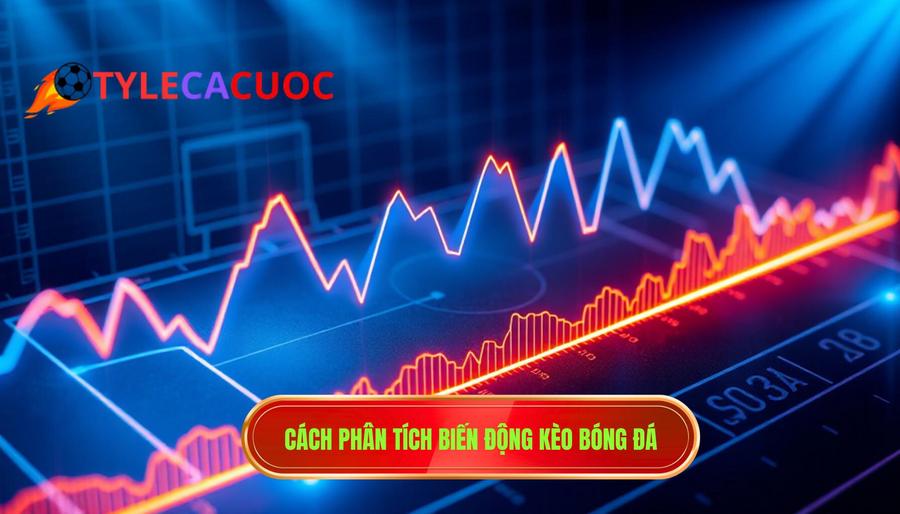 Cách phân tích biến động kèo bóng đá