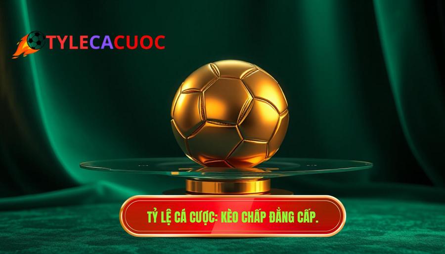 Kèo chấp nửa trái dễ gây bất ngờ - Bí quyết thắng lớn tại TỶ LỆ CÁ CƯỢC