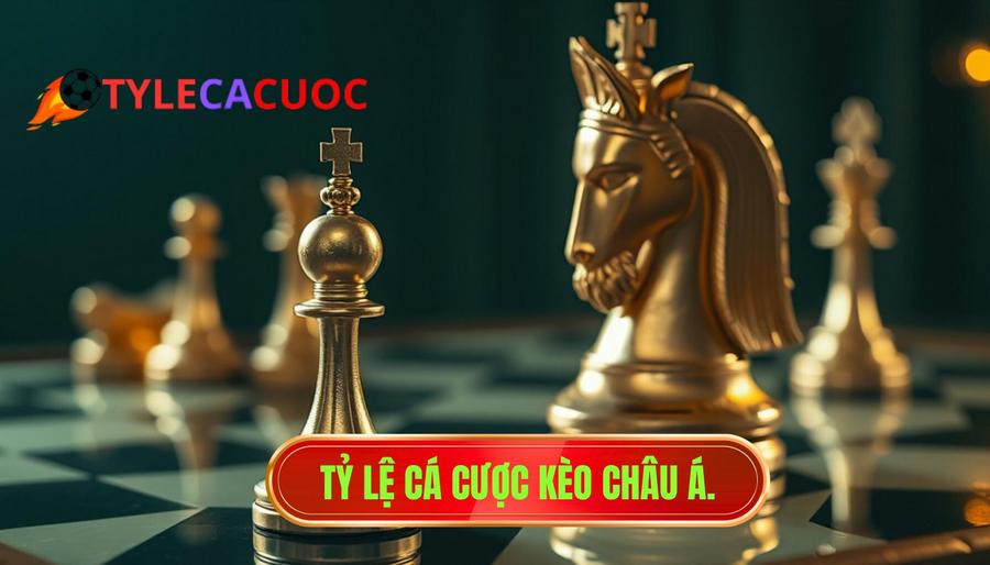 Kèo châu Á cho thấy cửa trên chưa chắc thắng: Bí mật từ chuyên gia